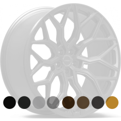 VOSSEN HF2